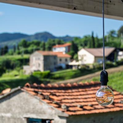 Vinomare Bb Firenze Esterni 11