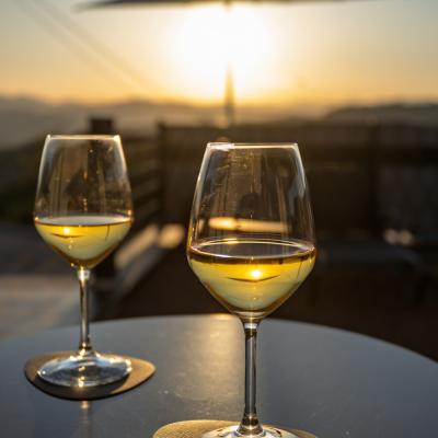 Vinomare Bb Firenze Esterni 18
