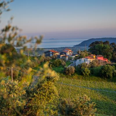 Vinomare Bb Firenze Esterni 21