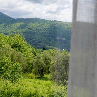 Vinomare Bb Firenze Esterni 3